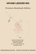 Aparejo de surfcasting MIYABI Precision Ledger: rendimiento confiable para pesca de fondo