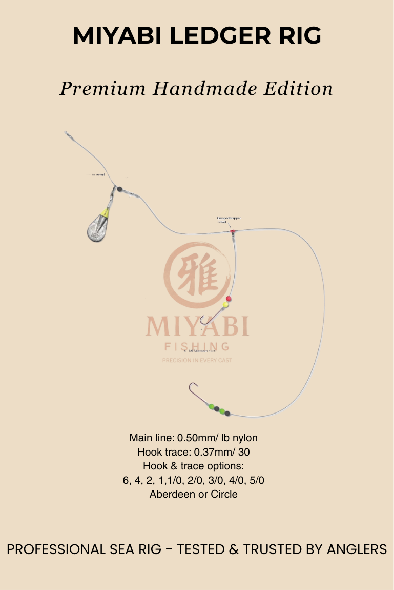 Aparejo de surfcasting MIYABI Precision Ledger: rendimiento confiable para pesca de fondo