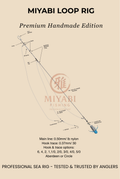 Aparejo de surfcasting de bucle de precisión MIYABI