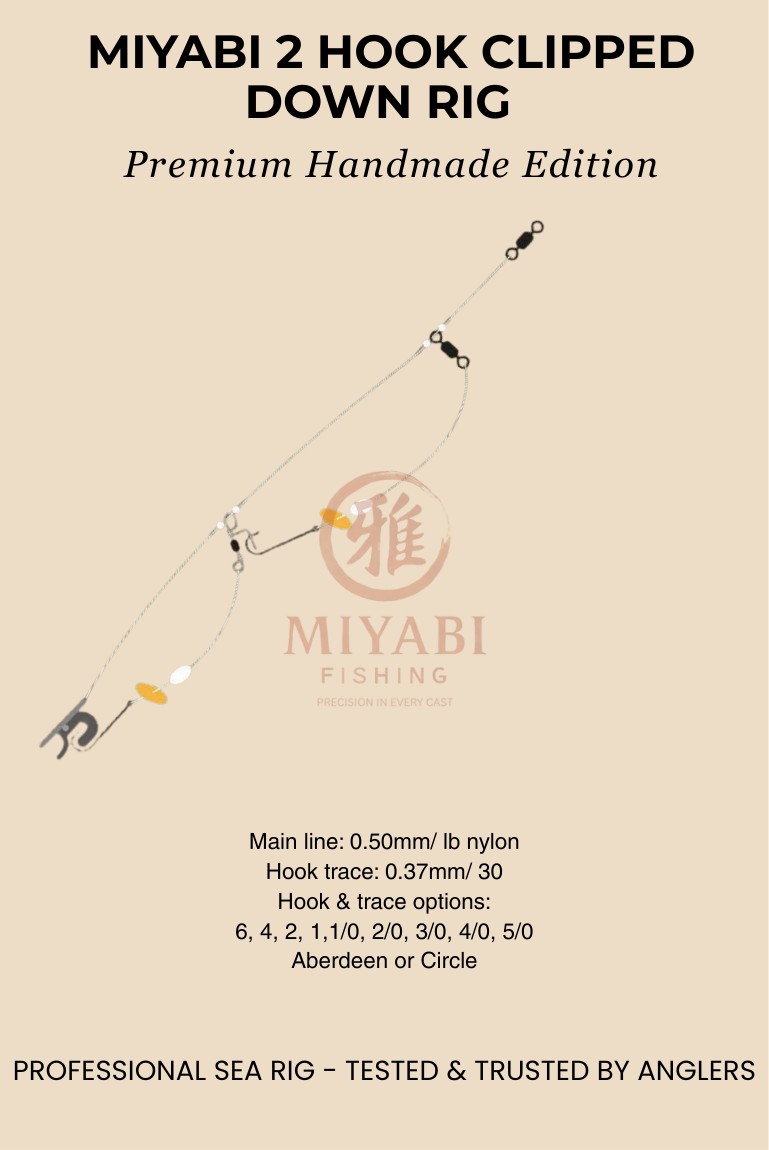 MIYABI Precision Clipped Down Rig – 2 Hook